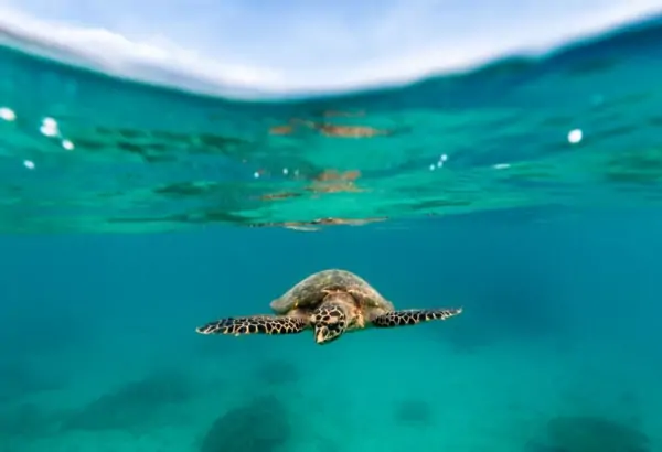 Hurghada Scuba Diving (2)